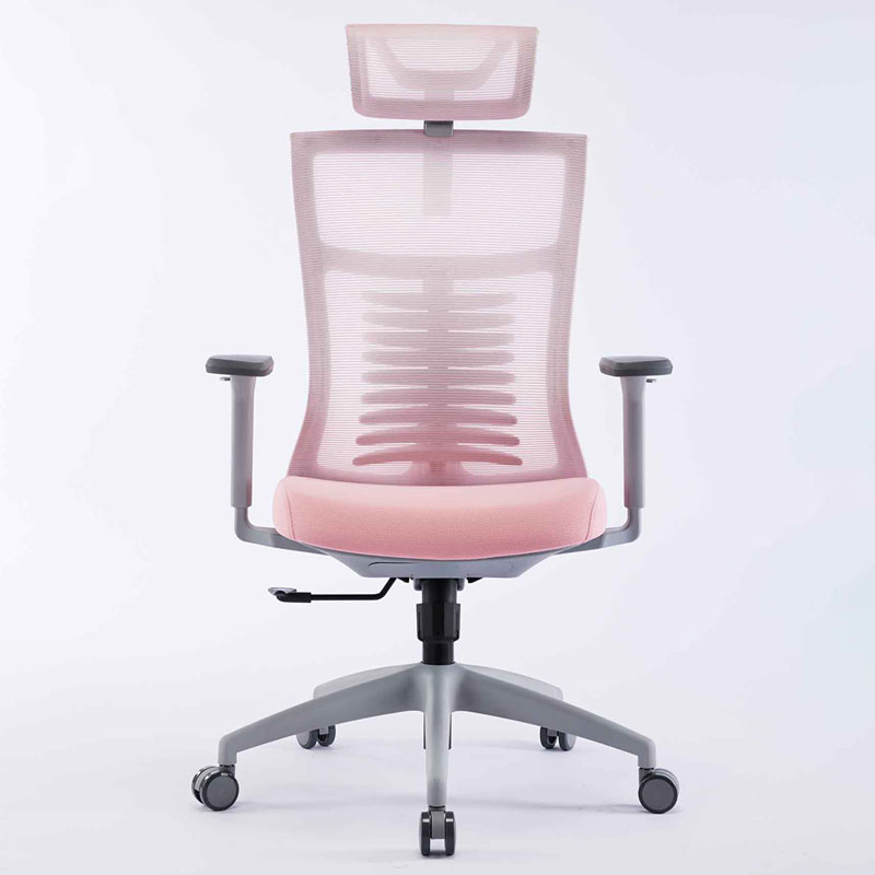 Ghế Ergonomic Warrior Hero series WEC502 Pink Gray 1 ghe cong thai hoc warrior hero series wec502 pink gray